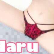 ハル やほん*¨*•.¸¸♪ マドンナ(仙台)