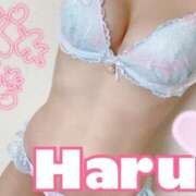 ヒメ日記 2026/01/13 09:33 投稿 ハル マドンナ(仙台)