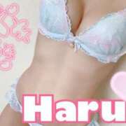 ヒメ日記 2026/01/27 10:33 投稿 ハル マドンナ(仙台)