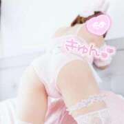 ヒメ日記 2026/02/28 10:13 投稿 ハル マドンナ(仙台)