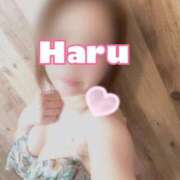 ヒメ日記 2026/04/01 10:19 投稿 ハル マドンナ(仙台)