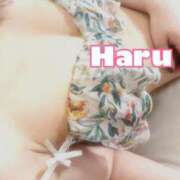 ヒメ日記 2026/04/01 15:19 投稿 ハル マドンナ(仙台)