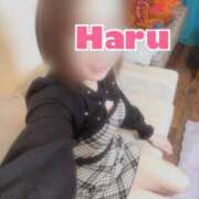 ハル やあ♡⸜(˶´˘`˶)⸝ マドンナ(仙台)