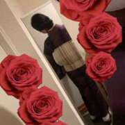 ヒメ日記 2025/05/31 08:17 投稿 きょうか 即アポ奥さん〜名古屋店〜