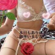 ヒメ日記 2026/02/23 19:01 投稿 きょうか 即アポ奥さん〜名古屋店〜