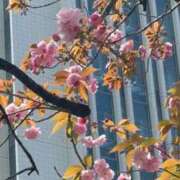 ヒメ日記 2026/04/06 12:02 投稿 きょうか 即アポ奥さん〜名古屋店〜