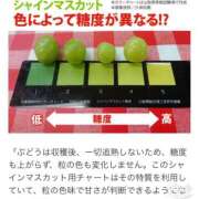 ヒメ日記 2024/10/01 23:07 投稿 白砂-しらす 熟女10000円デリヘル横浜