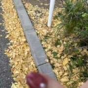 ヒメ日記 2024/12/15 21:24 投稿 白砂-しらす 熟女10000円デリヘル横浜