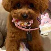 ヒメ日記 2024/12/28 18:47 投稿 白砂-しらす 熟女10000円デリヘル横浜