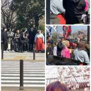 ヒメ日記 2025/03/22 12:13 投稿 白砂-しらす 熟女10000円デリヘル横浜