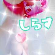 ヒメ日記 2025/05/14 00:00 投稿 白砂-しらす 熟女10000円デリヘル横浜