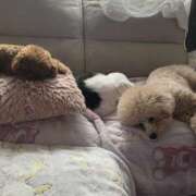 ヒメ日記 2025/05/14 00:20 投稿 白砂-しらす 熟女10000円デリヘル横浜