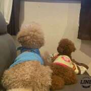 ヒメ日記 2025/05/22 20:11 投稿 白砂-しらす 熟女10000円デリヘル横浜