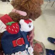 ヒメ日記 2025/05/23 11:14 投稿 白砂-しらす 熟女10000円デリヘル横浜