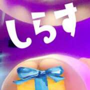 ヒメ日記 2025/06/09 14:34 投稿 白砂-しらす 熟女10000円デリヘル横浜