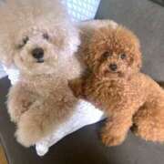 ヒメ日記 2025/06/11 06:30 投稿 白砂-しらす 熟女10000円デリヘル横浜