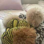 ヒメ日記 2025/06/15 07:30 投稿 白砂-しらす 熟女10000円デリヘル横浜