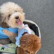 ヒメ日記 2025/07/08 21:14 投稿 白砂-しらす 熟女10000円デリヘル横浜