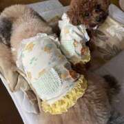 ヒメ日記 2025/08/08 20:16 投稿 白砂-しらす 熟女10000円デリヘル横浜