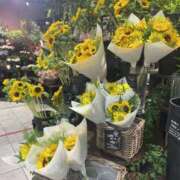 ヒメ日記 2025/08/17 09:20 投稿 白砂-しらす 熟女10000円デリヘル横浜