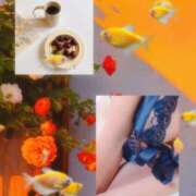 ヒメ日記 2025/04/30 11:04 投稿 鈴子 ご奉仕奥様倶楽部