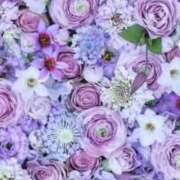 ヒメ日記 2025/02/07 23:38 投稿 はるみ 熟女家 堺東店