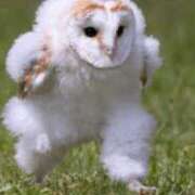 ヒメ日記 2025/03/31 14:10 投稿 はるみ 熟女家 堺東店