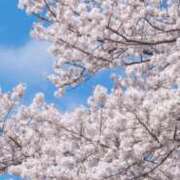 ヒメ日記 2025/04/08 09:37 投稿 はるみ 熟女家 堺東店