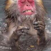 ヒメ日記 2025/04/16 15:38 投稿 はるみ 熟女家 堺東店