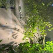 ヒメ日記 2025/05/10 10:38 投稿 はるみ 熟女家 堺東店