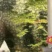 ヒメ日記 2025/05/20 19:18 投稿 はるみ 熟女家 堺東店