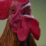 ヒメ日記 2025/07/09 09:29 投稿 はるみ 熟女家 堺東店