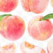 ヒメ日記 2025/08/16 10:28 投稿 はるみ 熟女家 堺東店