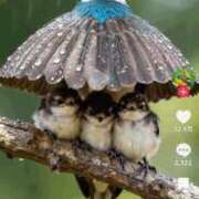 ヒメ日記 2025/11/09 10:02 投稿 はるみ 熟女家 堺東店