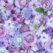 ヒメ日記 2025/11/24 10:07 投稿 はるみ 熟女家 堺東店