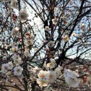 ヒメ日記 2025/02/24 01:00 投稿 月島　かれん エテルナ京都