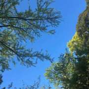 ヒメ日記 2025/04/21 00:45 投稿 月島　かれん エテルナ京都