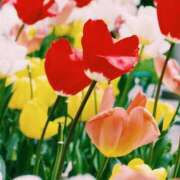 ヒメ日記 2025/05/07 00:02 投稿 月島　かれん エテルナ京都