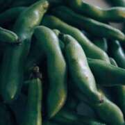 ヒメ日記 2025/05/26 00:45 投稿 月島　かれん エテルナ京都