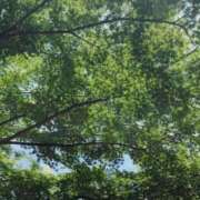 ヒメ日記 2025/06/29 23:45 投稿 月島　かれん エテルナ京都