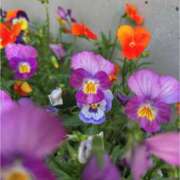 ヒメ日記 2025/08/12 00:45 投稿 月島　かれん エテルナ京都