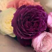 ヒメ日記 2025/11/03 23:30 投稿 月島　かれん エテルナ京都