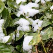 ヒメ日記 2026/02/15 23:30 投稿 月島　かれん エテルナ京都