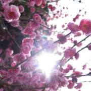 月島　かれん こんばんは エテルナ京都