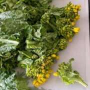 ヒメ日記 2026/04/12 23:15 投稿 月島　かれん エテルナ京都