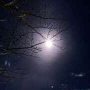 ヒメ日記 2024/12/15 14:28 投稿 青嶋はるき お色気物語（横浜ハレ系）