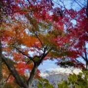 ヒメ日記 2024/12/16 16:50 投稿 青嶋はるき お色気物語（横浜ハレ系）