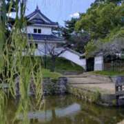 ヒメ日記 2024/12/29 14:28 投稿 青嶋はるき お色気物語（横浜ハレ系）