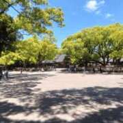 ヒメ日記 2024/12/30 15:48 投稿 青嶋はるき お色気物語（横浜ハレ系）