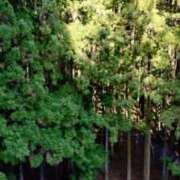 ヒメ日記 2025/01/07 16:31 投稿 青嶋はるき お色気物語（横浜ハレ系）